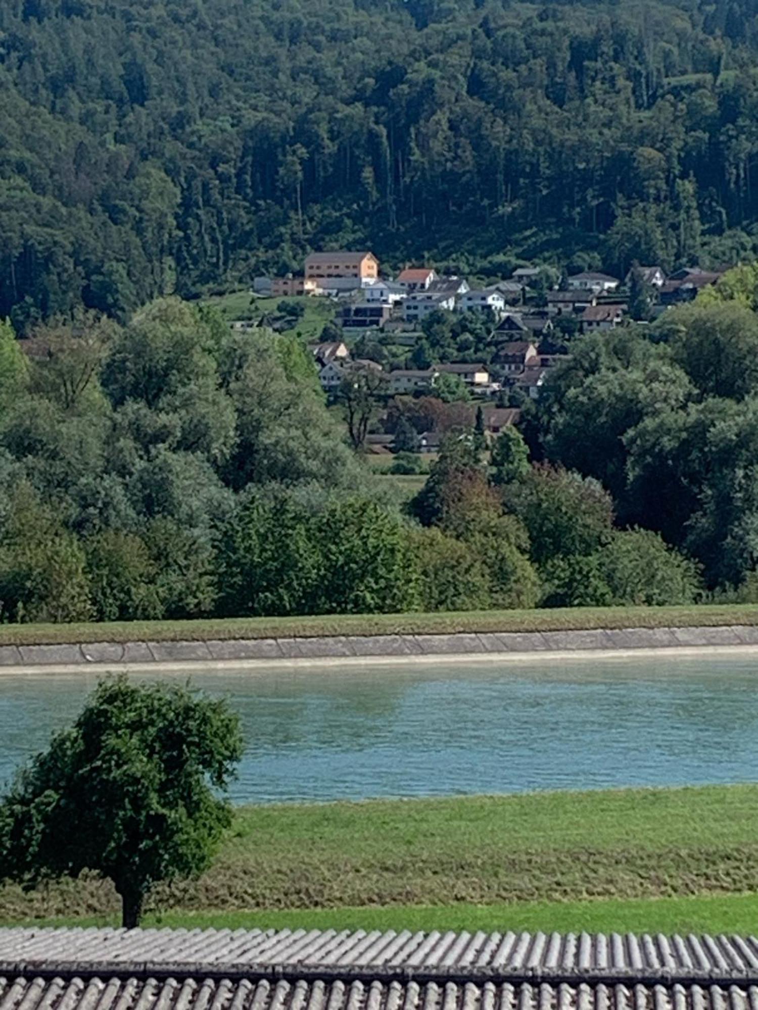 Hochrhein Ferienwohnung Albbruck Zewnętrze zdjęcie