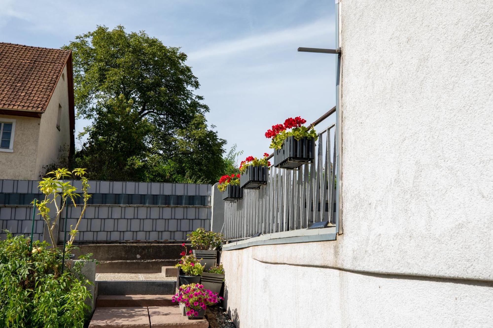 Hochrhein Ferienwohnung Albbruck Zewnętrze zdjęcie