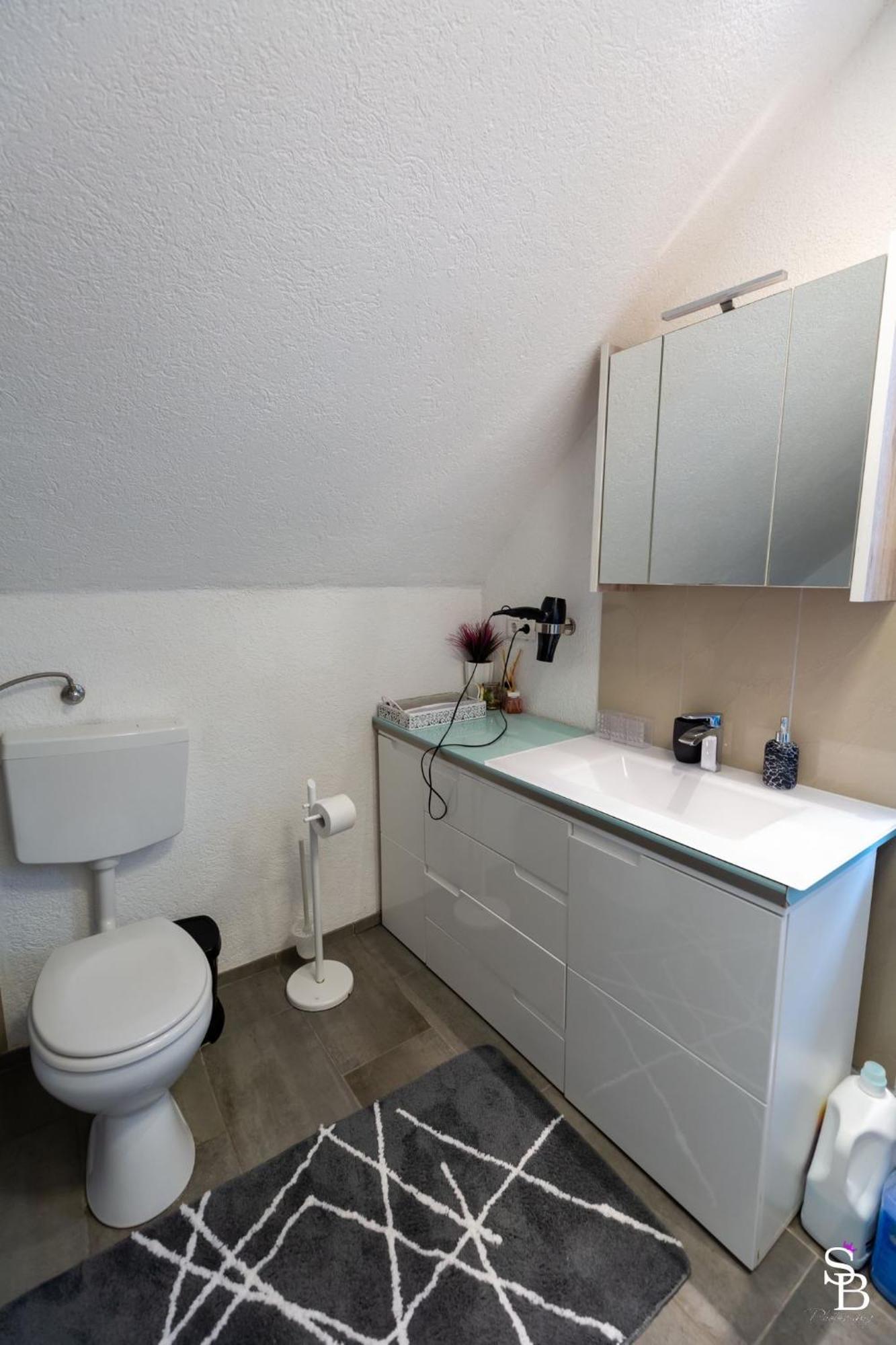 Hochrhein Ferienwohnung Albbruck Zewnętrze zdjęcie